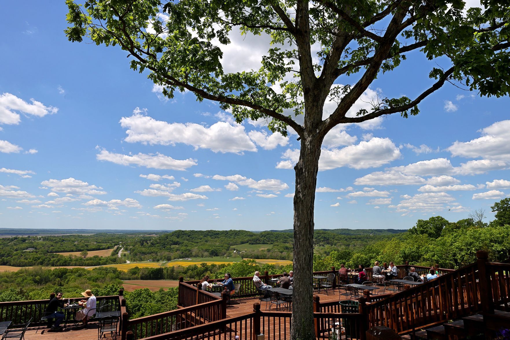 Hoffmann Family of Companies develops Augusta wineries